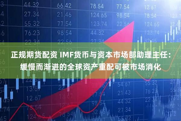 正规期货配资 IMF货币与资本市场部助理主任:缓慢而渐进的全球资产重配可被市场消化