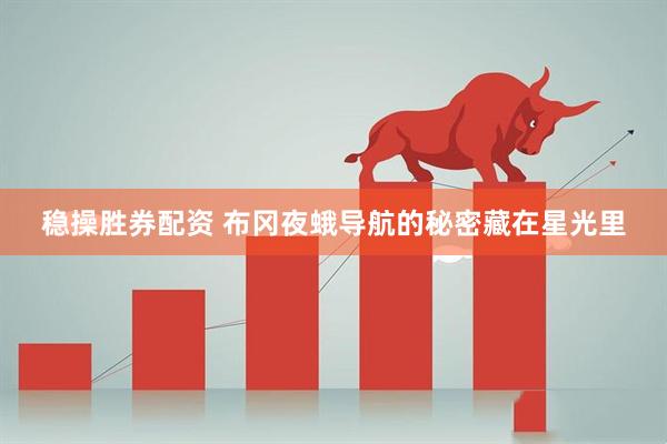 稳操胜券配资 布冈夜蛾导航的秘密藏在星光里
