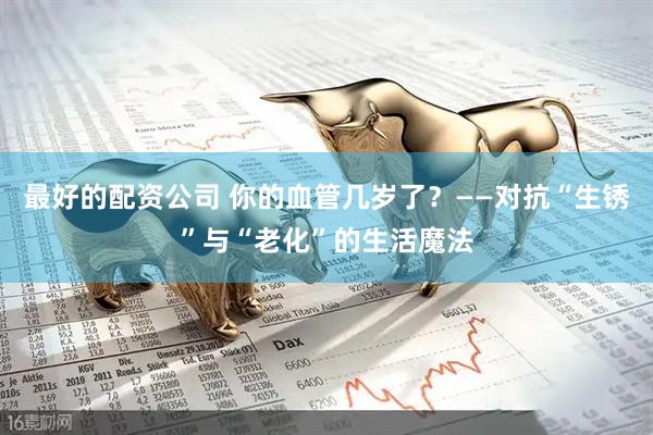最好的配资公司 你的血管几岁了?——对抗“生锈”与“老化”的生活魔法
